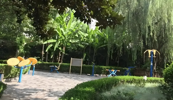 豪门强宠：腹黑首席宠萌妻